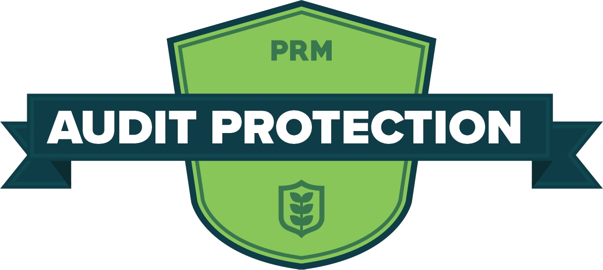 auditprotection auditprotection